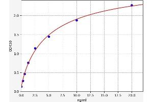 Typical standard curve (alpha-L-Fucosidase (Fuca) Kit ELISA)
