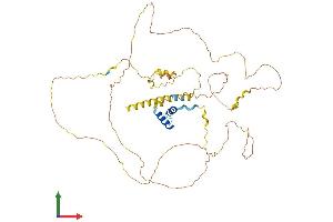 AlphaFold protein structure predicition of Human Recombinant TOX2 Protein, UniprotID Q96NM4