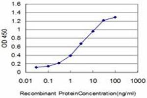 Detection limit for recombinant GST tagged FLT4 is approximately 0. (FLT4 anticorps  (AA 34-133))