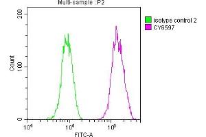 Overlay histogram showing A549 cells stained with ABIN7127484 (red line) at 1:50.