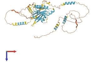 AlphaFold protein structure predicition of Mouse Recombinant Dync1li1 Protein, UniprotID Q8R1Q8