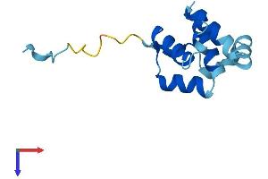 AlphaFold protein structure predicition of Mouse Recombinant Cnfn Protein, UniprotID Q6PCW6
