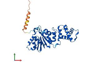 AlphaFold protein structure predicition of Human Recombinant DIMT1 Protein, UniprotID Q9UNQ2