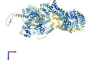 AlphaFold protein structure predicition of Human Recombinant NAIP Protein, UniprotID Q13075