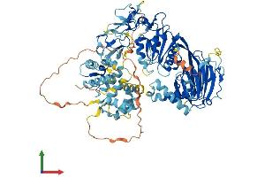 AlphaFold protein structure predicition of Mouse Recombinant Dgkg Protein, UniprotID Q91WG7