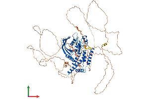 AlphaFold protein structure predicition of Human Recombinant PTPN22 Protein, UniprotID Q9Y2R2