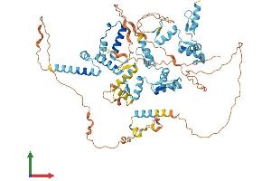 AlphaFold protein structure predicition of Human Recombinant ZNF263 Protein, UniprotID O14978