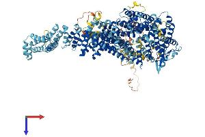 AlphaFold protein structure predicition of Mouse Recombinant Fanci Protein, UniprotID Q8K368