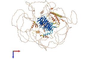AlphaFold protein structure predicition of Mouse Recombinant Ambra1 Protein, UniprotID A2AH22