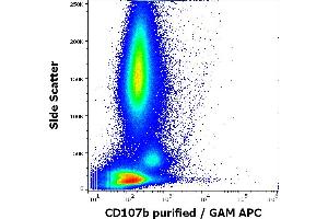 Flow cytometry surface staining pattern of human anti-IgE antibody stimulated peripheral whole blood stained using anti-human CD107b (H4B4) purified antibody (concentration in sample 1,67 μg/mL, GAM APC). (LAMP2 anticorps)