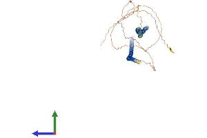 AlphaFold protein structure predicition of Human Recombinant KRT75 Protein, UniprotID O95678