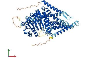 AlphaFold protein structure predicition of Human Recombinant HAS1 Protein, UniprotID Q92839
