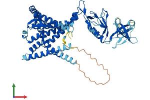 AlphaFold protein structure predicition of Human Recombinant MBTPS2 Protein, UniprotID O43462