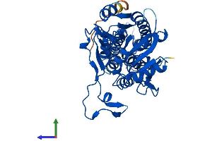 AlphaFold protein structure predicition of Mouse Recombinant Mri1 Protein, UniprotID Q9CQT1