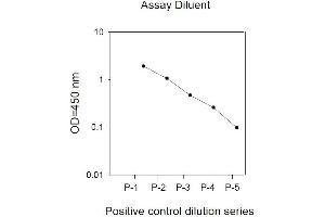 Image no. 3 for EPH Receptor B3 (EPHB3) ELISA Kit (ABIN1981719)