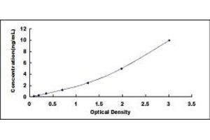 Typical standard curve (MYBL1 Kit ELISA)