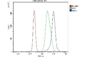 Flow Cytometry analysis of K562 cells using anti-MAG antibody (ABIN7601398).