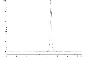 The purity of Human BAFF Trimer is greater than 95 % as determined by SEC-HPLC.
