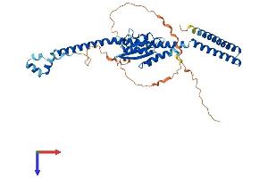 AlphaFold protein structure predicition of Human Recombinant VPS37A Protein, UniprotID Q8NEZ2