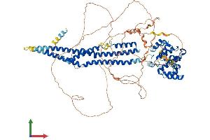 AlphaFold protein structure predicition of Mouse Recombinant Arhgap44 Protein, UniprotID Q5SSM3