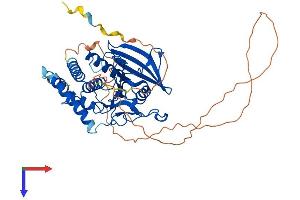 AlphaFold protein structure predicition of Mouse Recombinant Ptpn18 Protein, UniprotID Q61152