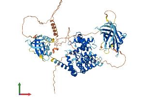 AlphaFold protein structure predicition of Mouse Recombinant Rabgap1l Protein, UniprotID A6H6A9