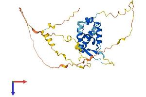 AlphaFold protein structure predicition of Human Recombinant FOXR1 Protein, UniprotID Q6PIV2
