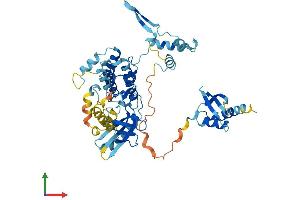 AlphaFold protein structure predicition of Human Recombinant NRBP2 Protein, UniprotID Q9NSY0