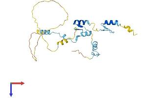 AlphaFold protein structure predicition of Mouse Recombinant Jazf1 Protein, UniprotID Q80ZQ5