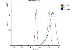 Flow Cytometry analysis of Hela cells using anti-SEC23A antibody (ABIN7600428).