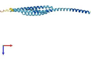 AlphaFold protein structure predicition of Human Recombinant GOSR2 Protein, UniprotID O14653