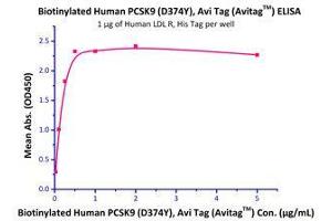 Immobilized Human LDL R, His Tag (Cat# LDR-H5224) at 10 μg/mL (100 μl/well) can bind Biotinylated Human (D374Y) PCSK9 (Cat# PCY-H82E7 ) with a linear range of 0. (LDLR Protein (AA 22-788) (His tag))