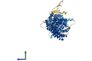AlphaFold protein structure predicition of Mouse Recombinant Ttc7a Protein, UniprotID Q8BGB2