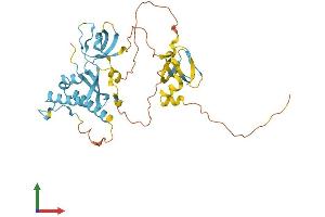 AlphaFold protein structure predicition of Human Recombinant NOXO1 Protein, UniprotID Q8NFA2