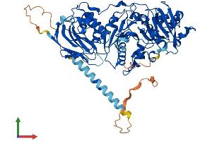 AlphaFold protein structure predicition of Mouse Recombinant Pomgnt1 Protein, UniprotID Q91X88