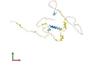 AlphaFold protein structure predicition of Mouse Recombinant Myoz1 Protein, UniprotID Q9JK37