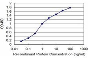 anti-Pyruvate Dehydrogenase Kinase, Isozyme 4 (PDK4) (AA 1-411) antibody