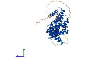 AlphaFold protein structure predicition of Human Recombinant TTC23L Protein, UniprotID Q6PF05