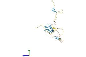 AlphaFold protein structure predicition of Mouse Recombinant Lysmd4 Protein, UniprotID Q8CC84