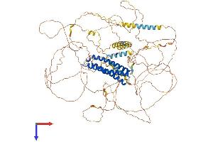 AlphaFold protein structure predicition of Mouse Recombinant Dlgap1 Protein, UniprotID Q9D415