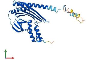 AlphaFold protein structure predicition of Mouse Recombinant Capza3 Protein, UniprotID P70190