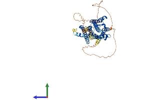 AlphaFold protein structure predicition of Mouse Recombinant Chrm2 Protein, UniprotID Q9ERZ4