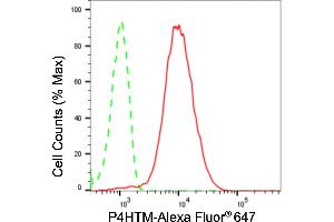 Flow cytometric analysis of P4HTM expression in HepG2 cells using P4HTM antibody (ABIN7799921), 1:2,000). (Recombinant P4HTM anticorps)