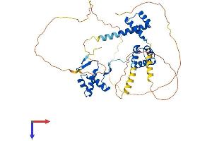 AlphaFold protein structure predicition of Mouse Recombinant Pax6 Protein, UniprotID P63015