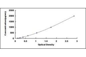 Typical standard curve (Kallikrein 13 Kit ELISA)