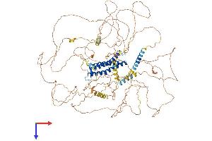 AlphaFold protein structure predicition of Mouse Recombinant Dlgap2 Protein, UniprotID Q8BJ42