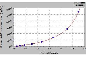 Typical Standard Curve (LASP1 Kit ELISA)
