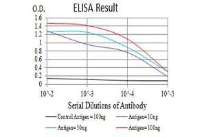 Black line: Control Antigen (100 ng),Purple line: Antigen (10 ng), Blue line: Antigen (50 ng), Red line:Antigen (100 ng)