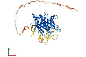 AlphaFold protein structure predicition of Mouse Recombinant Plscr2 Protein, UniprotID Q9DCW2