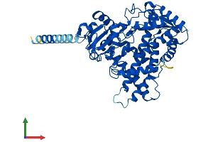 AlphaFold protein structure predicition of Human Recombinant CYP2E1 Protein, UniprotID P05181
